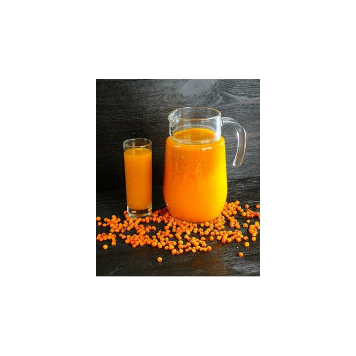 Морс облепиховый